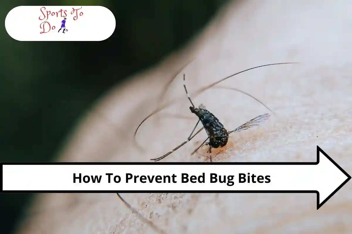 How To Prevent Bed Bug Bites